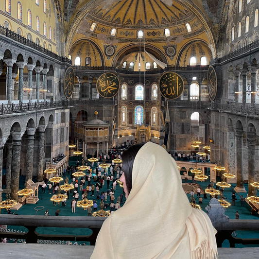 Istanbul’s Imperial Wonders: A Half-Day Tour Program